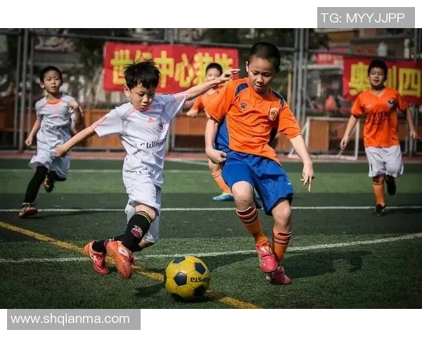 足球知识互动平台探索与分享助你成为球场专家的秘诀