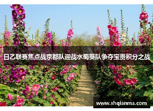 日乙联赛焦点战京都队迎战水蜀葵队争夺宝贵积分之战