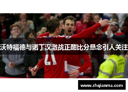 沃特福德与诺丁汉激战正酣比分悬念引人关注